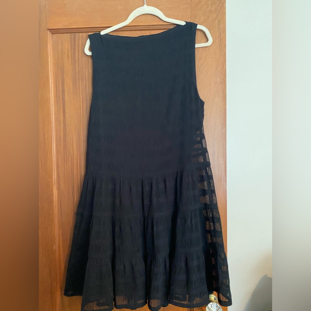 Black Boatneck Drop-waist Sheer Dress with Lining